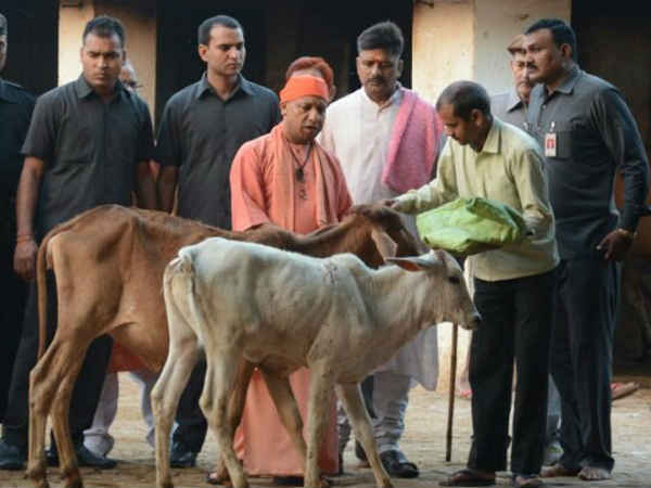 कहां है सीएम के निर्देश