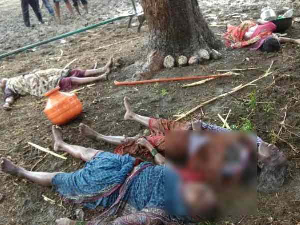 बारिश के बचने के लिए गईंं पेड़ के नीचे