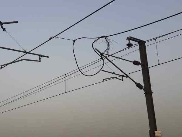 मेट्रो की तारों से टकरा गया एक बाज