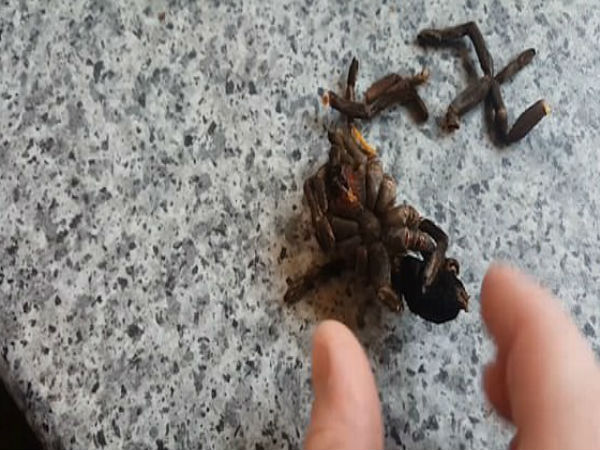  ब्वॉयफ्रेंड का रिएक्शन रिकॉर्ड करना चाहती थी 