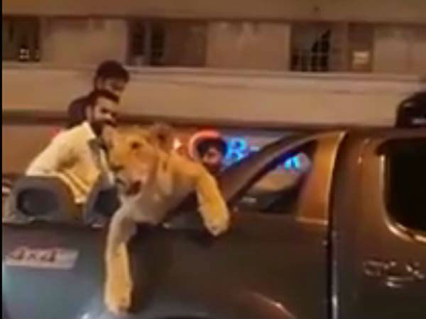 फॉरेस्ट डिपार्टमेंट से मिला था लाइसेंस