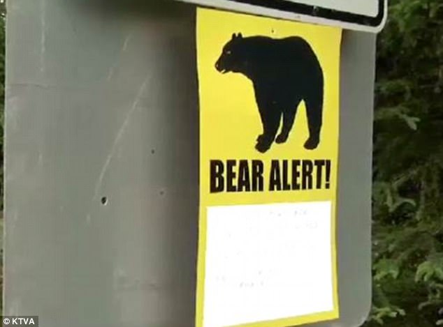 यहां पाए जाते हैं दुनिया के सबसे ज्यादा भालू यहां पाए जाते हैं दुनिया के सबसे ज्यादा भालू