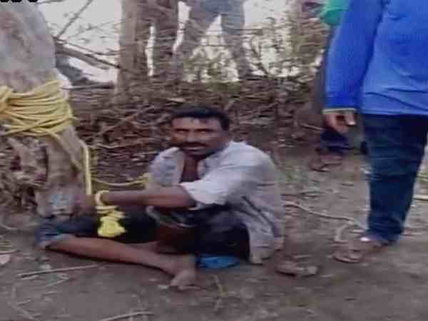 रस्सी लपेटकर पेड़ से बांधा, फिर पीटा