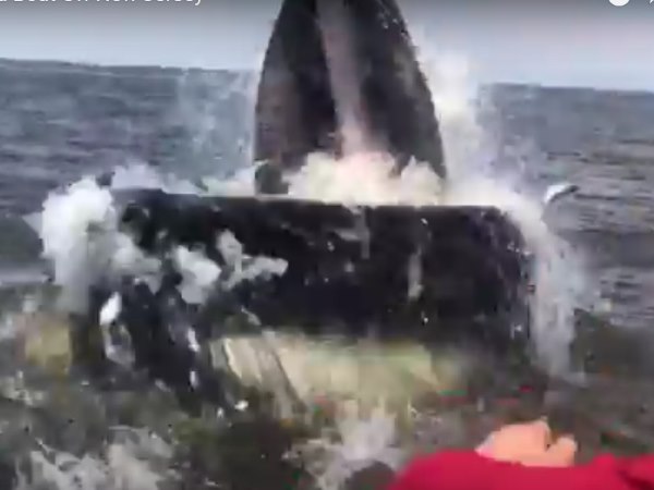 न्यूजर्सी का है मामला