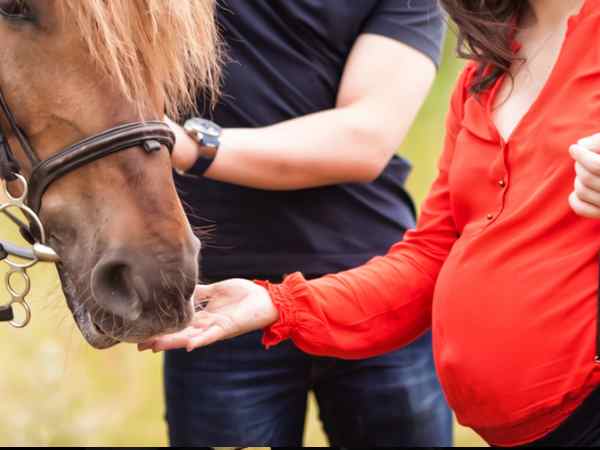 कब शुरू हुई थी रेस?