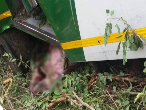 ड्राइवर मान लेता यात्रियों की बात तो नहीं होता कांगड़ा बस हादसा ड्राइवर मान लेता यात्रियों की बात तो नहीं होता कांगड़ा बस हादसा