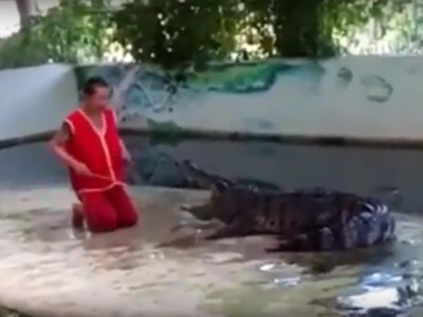 जब मगरमच्छ के मुंह में इस शख्स ने खुद दे दिया अपना सिर, फिर क्या हुआ देखिए...