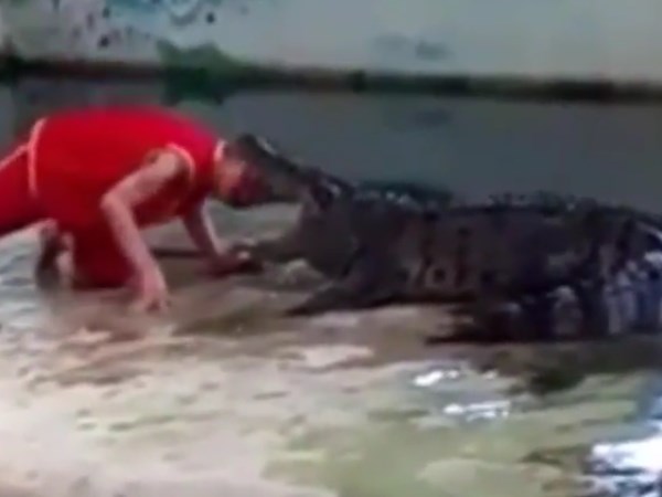 Crocodile Tries To Bite Man Head Off, Watch What Happens Next.