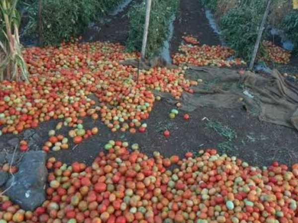 महाराष्ट्र में किसानों की हड़ताल, शहरों में नहीं पहुंचने देंगे सब्जी और दूध