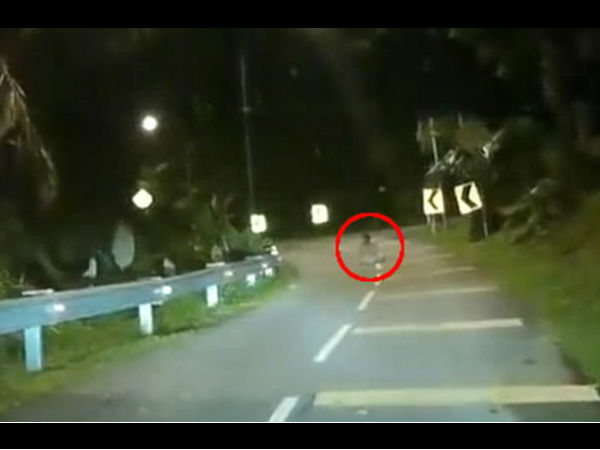 terrifying moment when A driver realised there was a ghost sitting the middle of the road terrifying moment when A driver realised there was a ghost sitting the middle of the road
