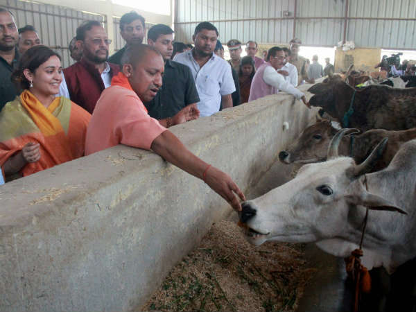 सीएम योगी भी गए थे कान्हा उपवन सीएम योगी भी गए थे कान्हा उपवन