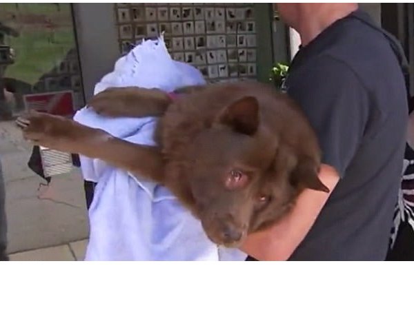 आपको वो क्रूर इंसान कहीं मिले तो उसे भी गाड़ देना आपको वो क्रूर इंसान कहीं मिले तो उसे भी गाड़ देना