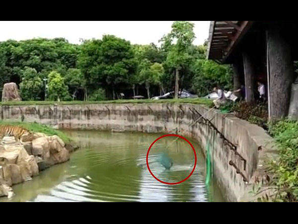 जिंदा गधे का किया शिकार