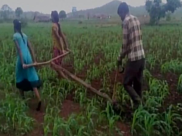 क्या यही कृषि प्रधान भारत है?