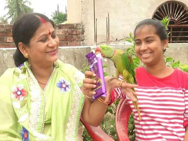 पिंजरे में कैद नहीं रहता ये 'अंग्रेज'