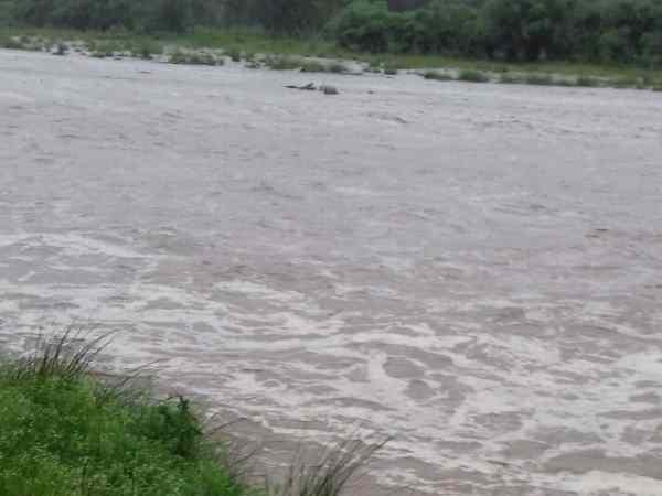 दर्जनों मकान क्षतिग्रस्त, युवक पानी में बहा