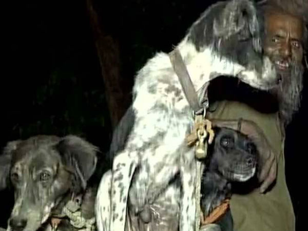  10 सालों से कुत्तों के साथ यात्रा