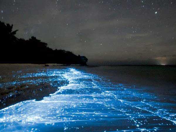 10 हजार मिलियन टन से भी ज्यादा लाइम मड