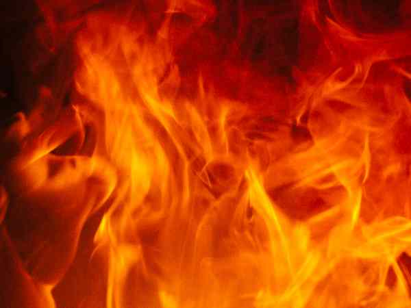 भाई के पूरे परिवार को आग में झोंक दिया