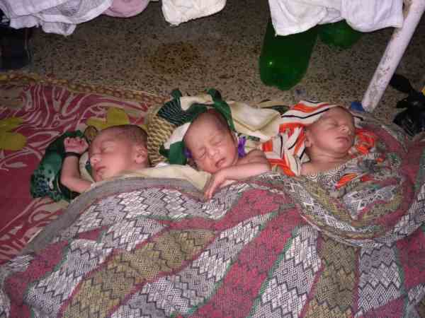 तीनों लड़के हैं