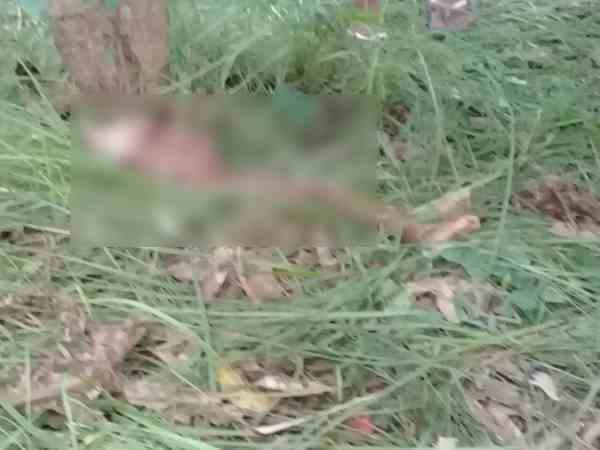 पहले भी तेदुंआ बना चुका है शिकार पहले भी तेदुंआ बना चुका है शिकार