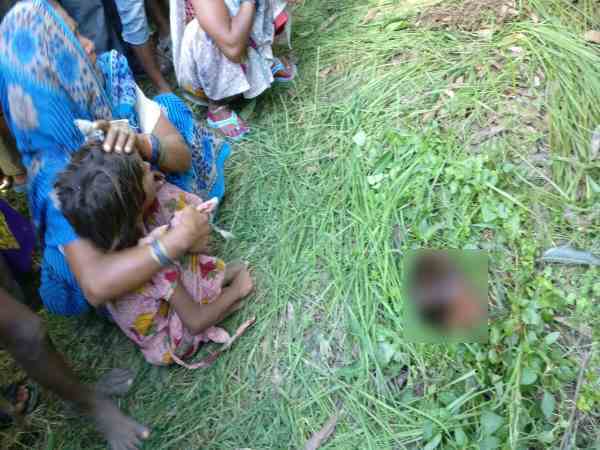 तेंदुए की तलाश जारी तेंदुए की तलाश जारी