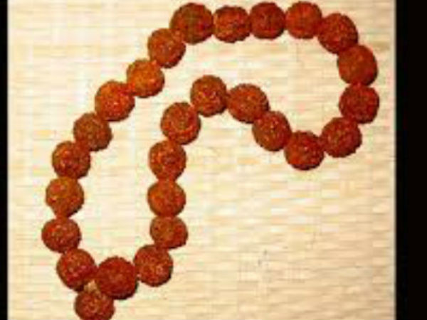 रूद्राक्ष की माला सर्वश्रेष्ठ रूद्राक्ष की माला सर्वश्रेष्ठ