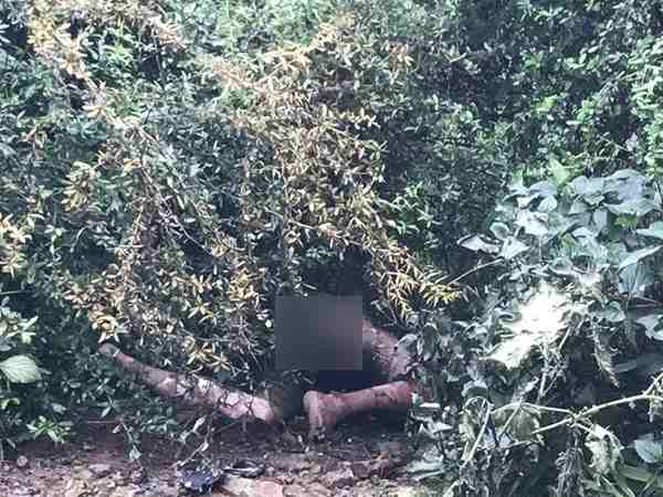 तिब्बती युवक की शिनाख्त नहीं हो पाई