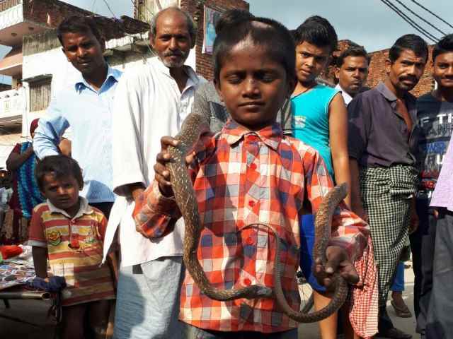 PICs: जहरीले सांप पकड़ना है इस बनारस के बच्चे का खेल! PICs: जहरीले सांप पकड़ना है इस बनारस के बच्चे का खेल!