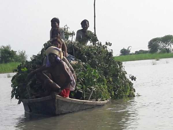 तीन गांवों में लगाई गई नाव, अन्य गांवों में कर रहे व्यवस्था तीन गांवों में लगाई गई नाव, अन्य गांवों में कर रहे व्यवस्था
