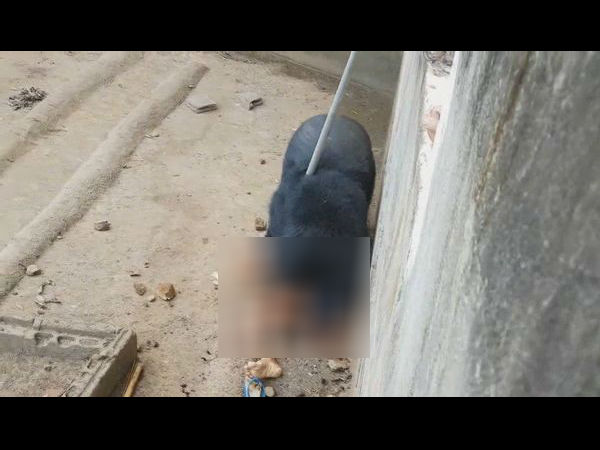 इस तरह बची जान