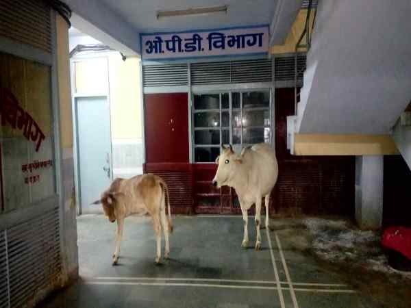 पहले भी आईं है लापरवाही वाली खबरें