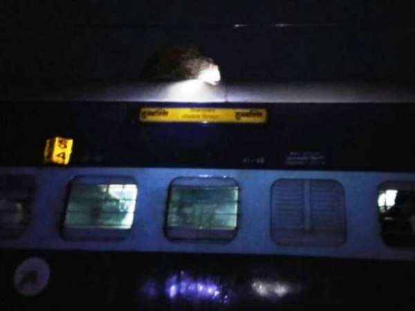 रेलमार्ग की सुरक्षा को लेकर उठे सवाल