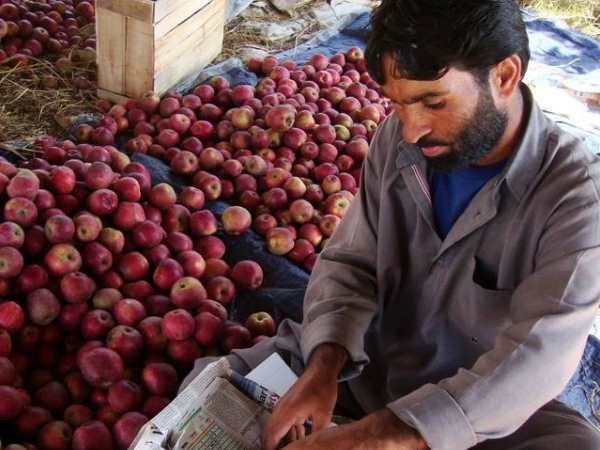 हिमाचल में करोड़ों रुपए का नुकसान