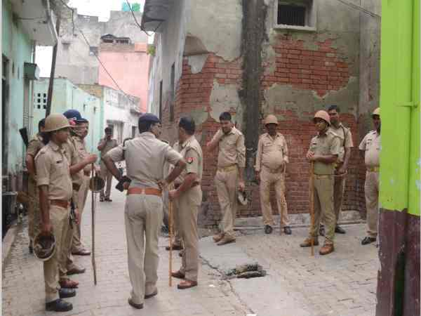 एक गाय और बैल बरामद