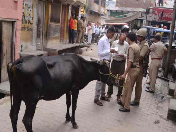 आरोपियों ने भी पुलिस को दौड़ाया