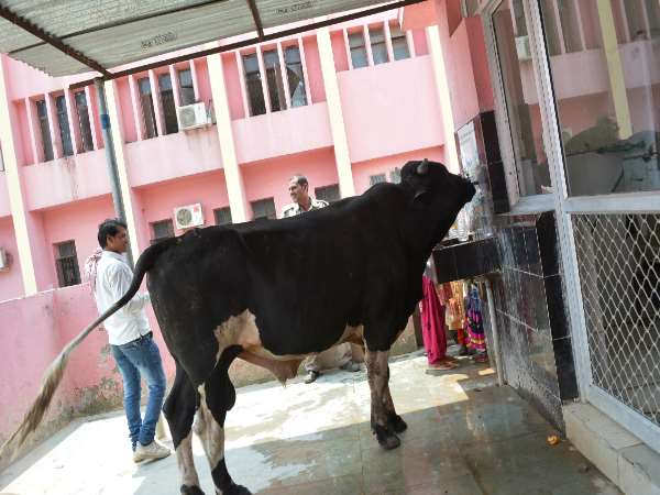 oneindia ने दिखाए थे इस हॉस्पिटल के नजारे