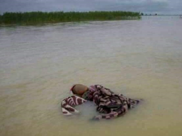 Flood in Bihar, See Pictures and Video