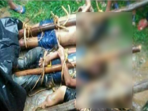 Flood in Bihar, See Pictures and Video