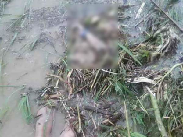 बिहार में बाढ़ की विनाश लीला, मौतों का आंकड़ा 400 के पार