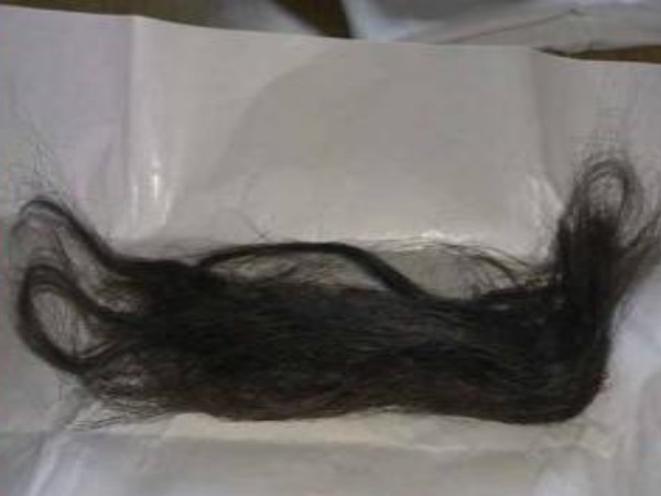 Hair Choti Cutter caught in Himachal pradesh Hair Choti Cutter caught in Himachal pradesh