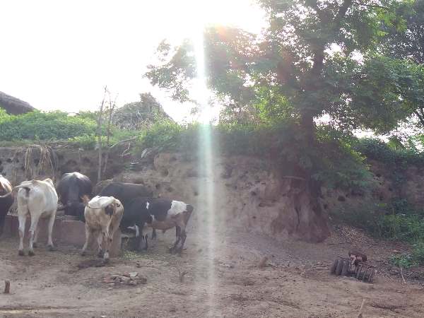 ध्वस्त किले का एक-एक टुकड़ा सुना रहा है प्रथम स्वतंत्रता आंदोलन की दास्तां ध्वस्त किले का एक-एक टुकड़ा सुना रहा है प्रथम स्वतंत्रता आंदोलन की दास्तां