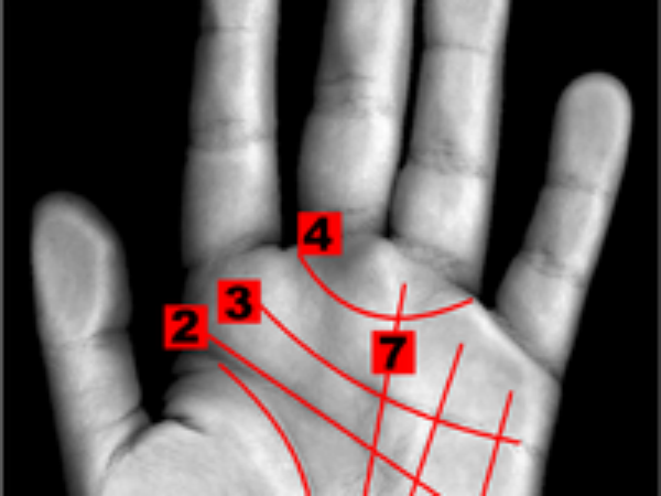 गुरु पर्वत पर जाल का चिन्ह हो 