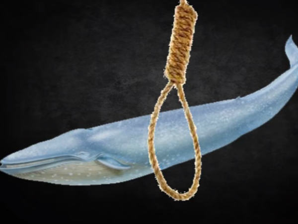 ऐसे हुआ ब्लू व्हेल गेम में फंसने का खुलासा