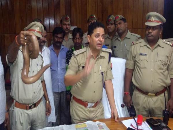 सेक्‍स पावर बढ़ाने की रामबाण दवा 