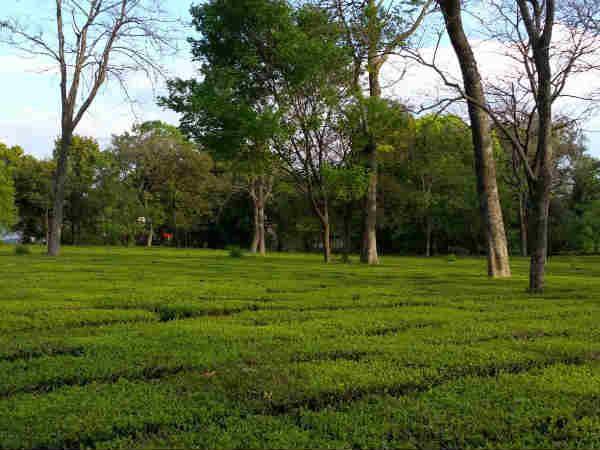 पालमपुर से अभी तक चुने गये विधायक पालमपुर से अभी तक चुने गये विधायक