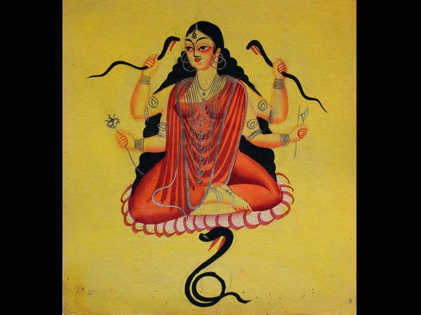 सालवन गाँव में भव्य मंदिर का निर्माण हुआ