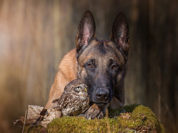 सबसे अनोखी है ये दोस्ती