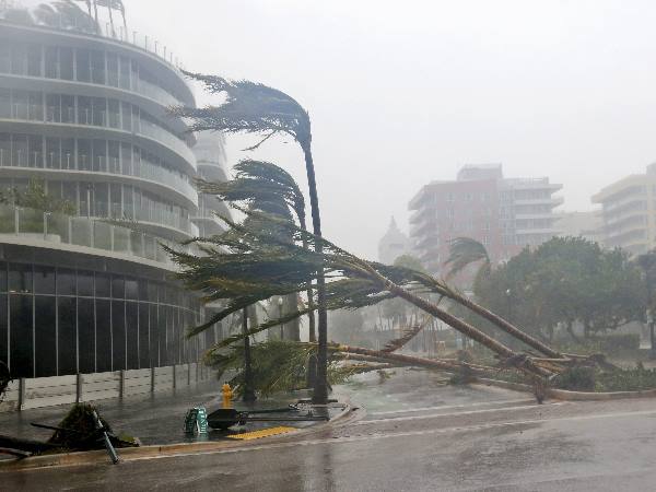 भारतीय दे रहे हैं मंदिरों में पनाह भारतीय दे रहे हैं मंदिरों में पनाह