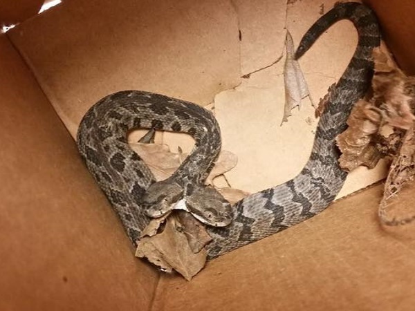 सोशल मीडिया पर लोग उत्सुक सोशल मीडिया पर लोग उत्सुक